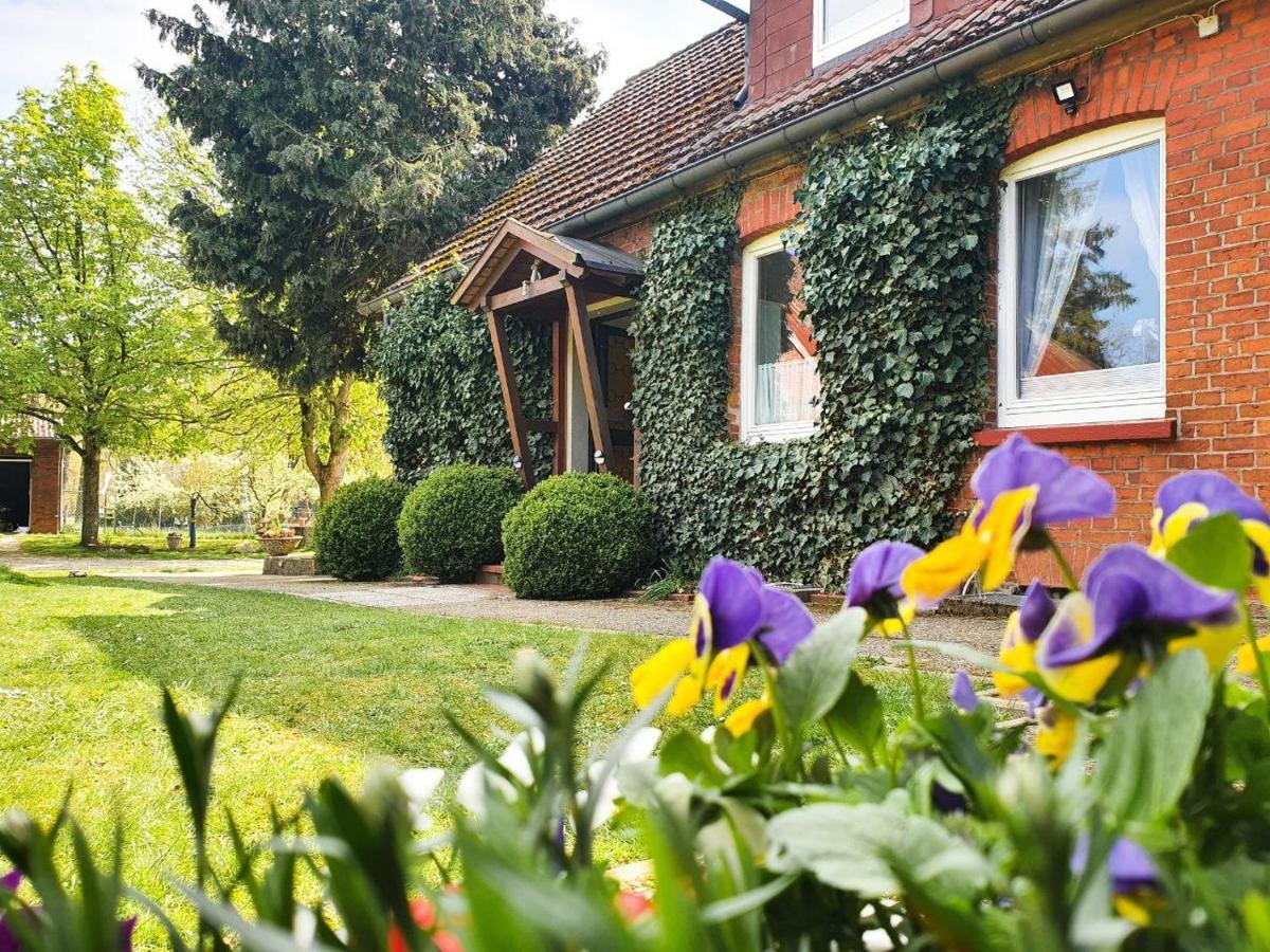 Am Alten Haus Altenmedingen Exterior foto